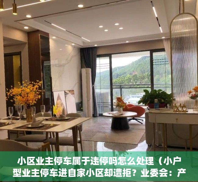 小区业主停车属于违停吗怎么处理（小户型业主停车进自家小区却遭拒？业委会：产权面积大的优先）