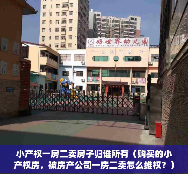 小产权一房二卖房子归谁所有（购买的小产权房，被房产公司一房二卖怎么维权？）