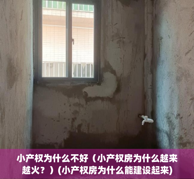 小产权为什么不好（小产权房为什么越来越火？）(小产权房为什么能建设起来)