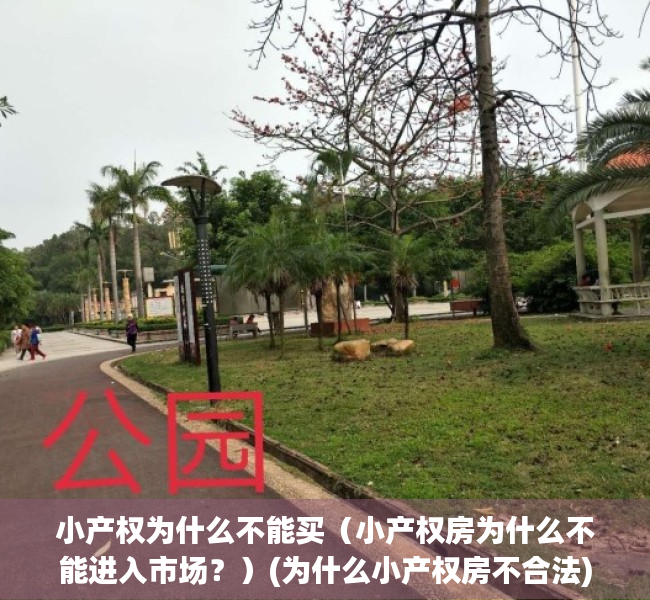 小产权为什么不能买（小产权房为什么不能进入市场？）(为什么小产权房不合法)