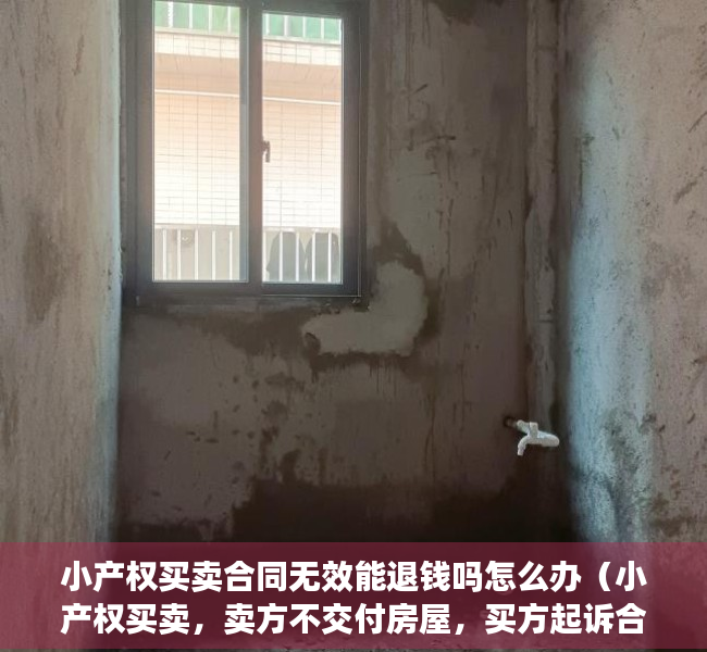 小产权买卖合同无效能退钱吗怎么办（小产权买卖，卖方不交付房屋，买方起诉合同无效，获法院支持）
