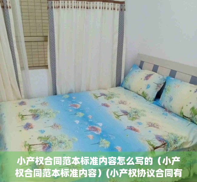 小产权合同范本标准内容怎么写的（小产权合同范本标准内容）(小产权协议合同有效吗)