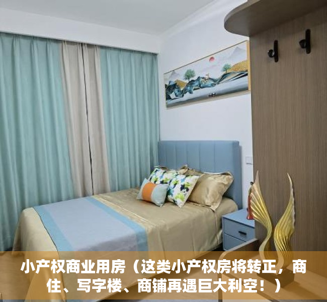 小产权商业用房（这类小产权房将转正，商住、写字楼、商铺再遇巨大利空！）