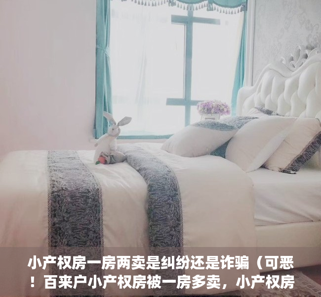 小产权房一房两卖是纠纷还是诈骗（可恶！百来户小产权房被一房多卖，小产权房存在哪些法律风险？）