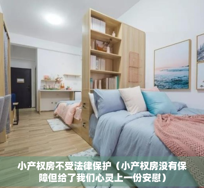 小产权房不受法律保护（小产权房没有保障但给了我们心灵上一份安慰）