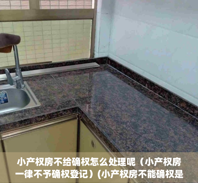 小产权房不给确权怎么处理呢（小产权房一律不予确权登记）(小产权房不能确权是什么意思)