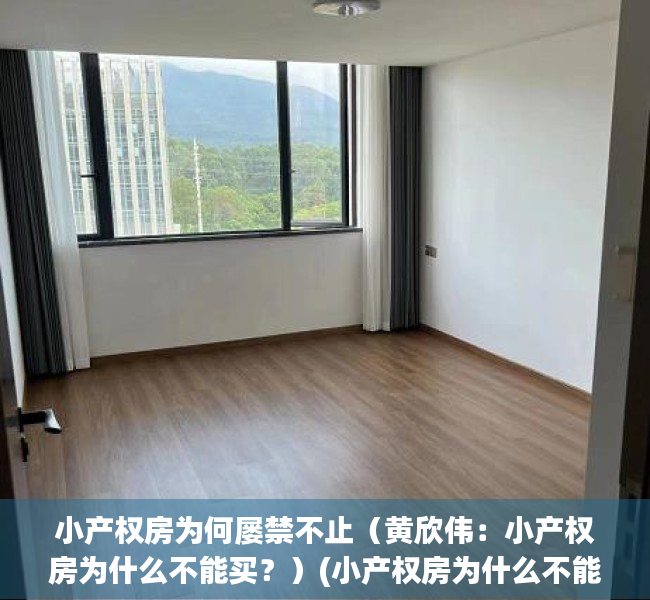 小产权房为何屡禁不止（黄欣伟：小产权房为什么不能买？）(小产权房为什么不能买?有什么风险吗)