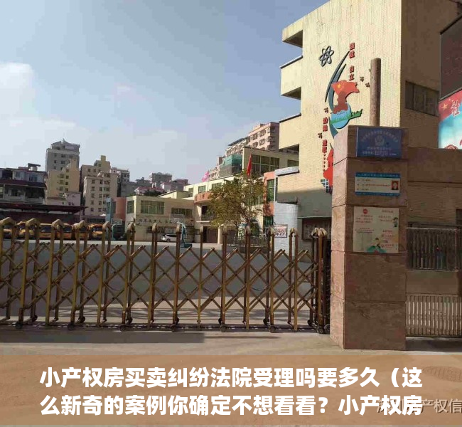 小产权房买卖纠纷法院受理吗要多久（这么新奇的案例你确定不想看看？小产权房买卖居然被判有效）