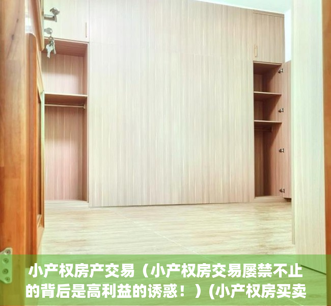 小产权房产交易（小产权房交易屡禁不止的背后是高利益的诱惑！）(小产权房买卖)