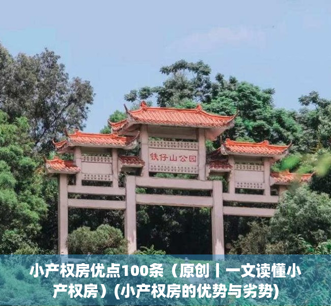 小产权房优点100条（原创丨一文读懂小产权房）(小产权房的优势与劣势)