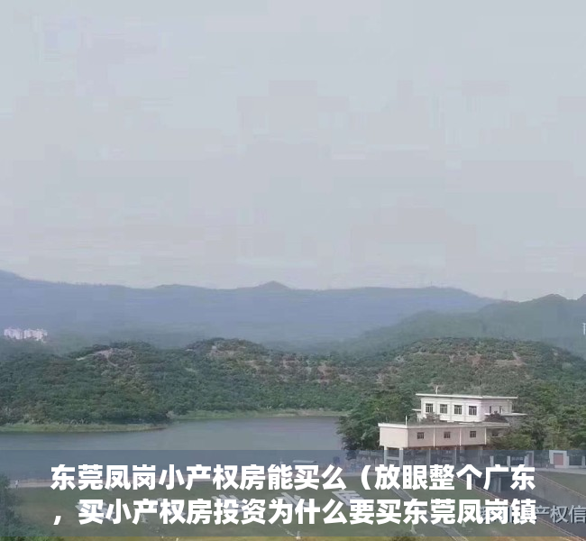 东莞凤岗小产权房能买么（放眼整个广东，买小产权房投资为什么要买东莞凤岗镇呢？）