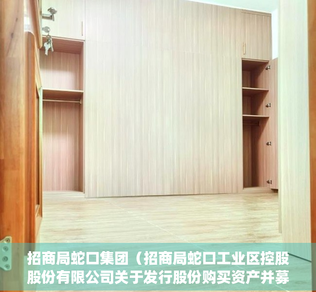 招商局蛇口集团（招商局蛇口工业区控股股份有限公司关于发行股份购买资产并募集配套资金暨关联交易申请获得深圳证券交易所受理的公告）