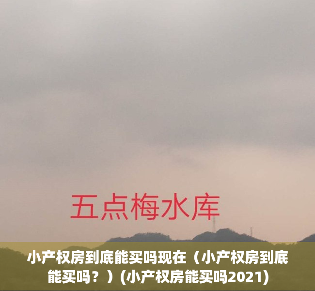 小产权房到底能买吗现在（小产权房到底能买吗？）(小产权房能买吗2021)
