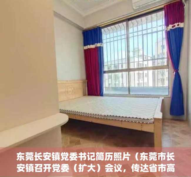 东莞长安镇党委书记简历照片（东莞市长安镇召开党委（扩大）会议，传达省市高质量发展大会精神）