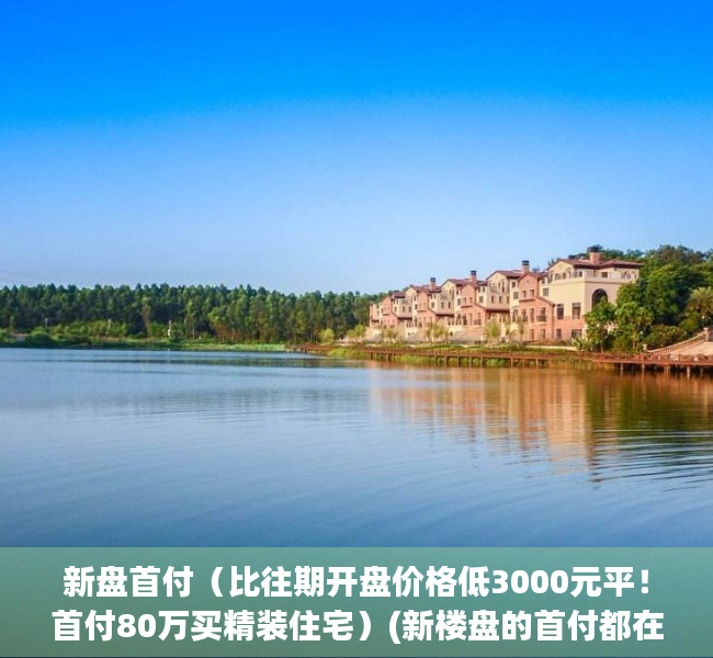 新盘首付（比往期开盘价格低3000元平！首付80万买精装住宅）(新楼盘的首付都在多少)