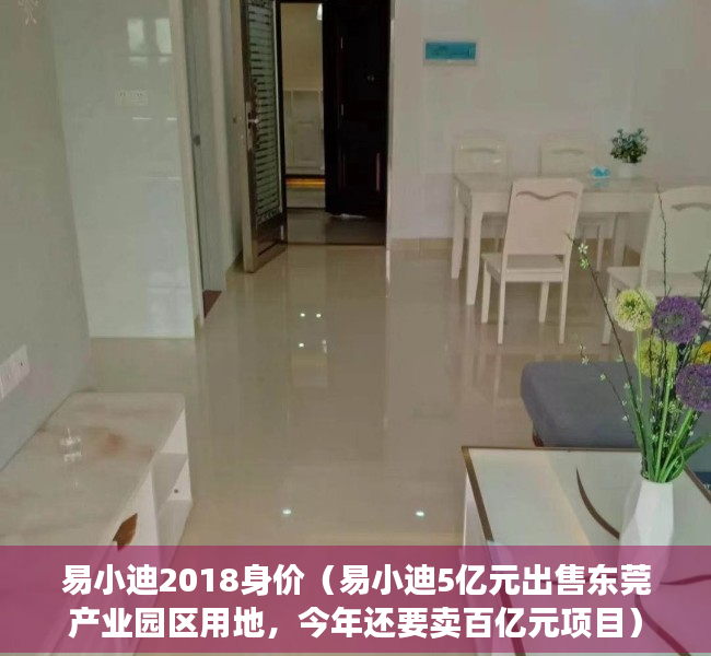 易小迪2018身价（易小迪5亿元出售东莞产业园区用地，今年还要卖百亿元项目）