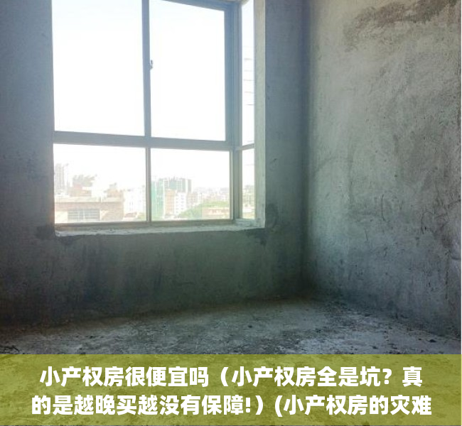 小产权房很便宜吗（小产权房全是坑？真的是越晚买越没有保障!）(小产权房的灾难来了)