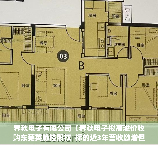 春秋电子有限公司（春秋电子拟高溢价收购东莞英脉控股权  标的近3年营收激增但净利润持续为负）