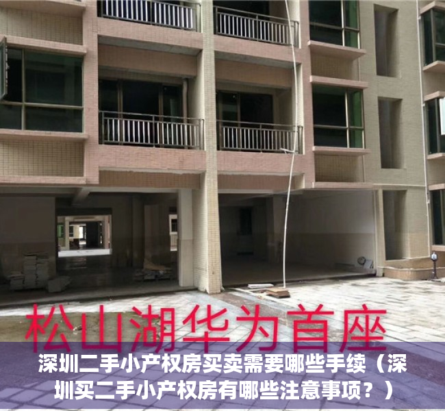 深圳二手小产权房买卖需要哪些手续（深圳买二手小产权房有哪些注意事项？）