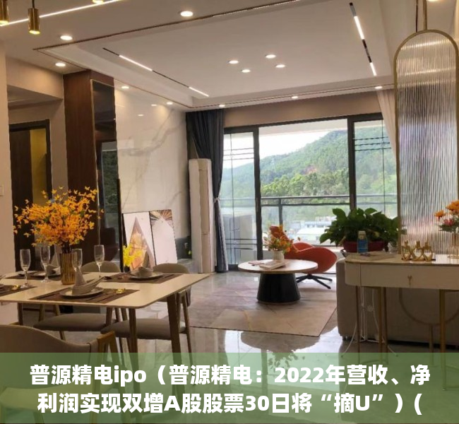普源精电ipo（普源精电：2022年营收、净利润实现双增A股股票30日将“摘U”）(普源精电上市辅导完成公告)