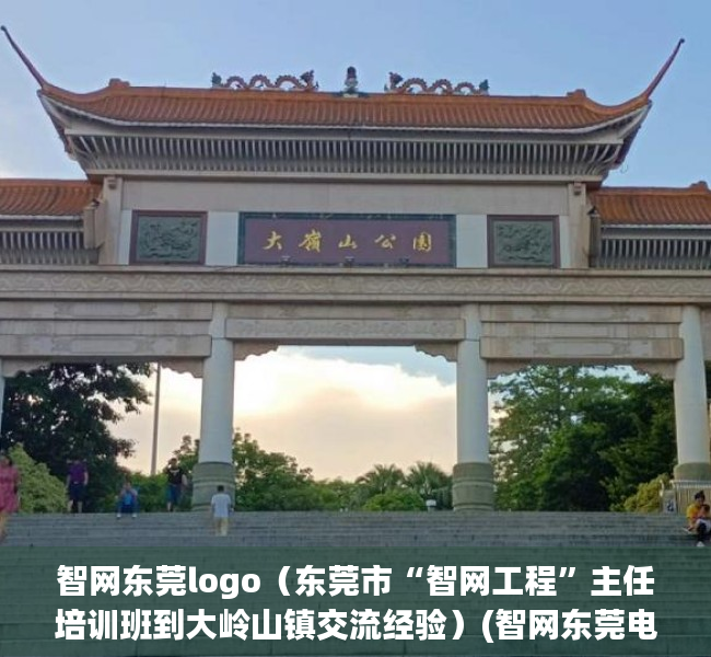 智网东莞logo（东莞市“智网工程”主任培训班到大岭山镇交流经验）(智网东莞电话)