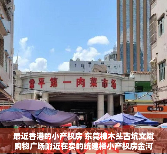 最近香港的小产权房 东莞樟木头古坑文斌购物广场附近在卖的统建楼小产权房金河市场旁在卖的小产权房金沙花园
