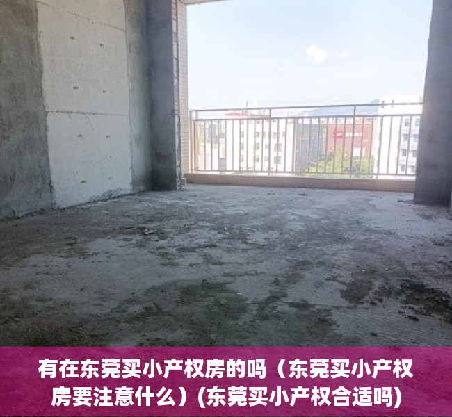 有在东莞买小产权房的吗（东莞买小产权房要注意什么）(东莞买小产权合适吗)