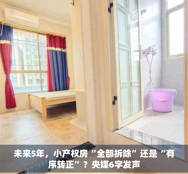 未来5年，小产权房“全部拆除”还是“有序转正”？央媒6字发声