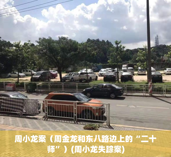 周小龙案（周金龙和东八路边上的“二十师”）(周小龙失踪案)