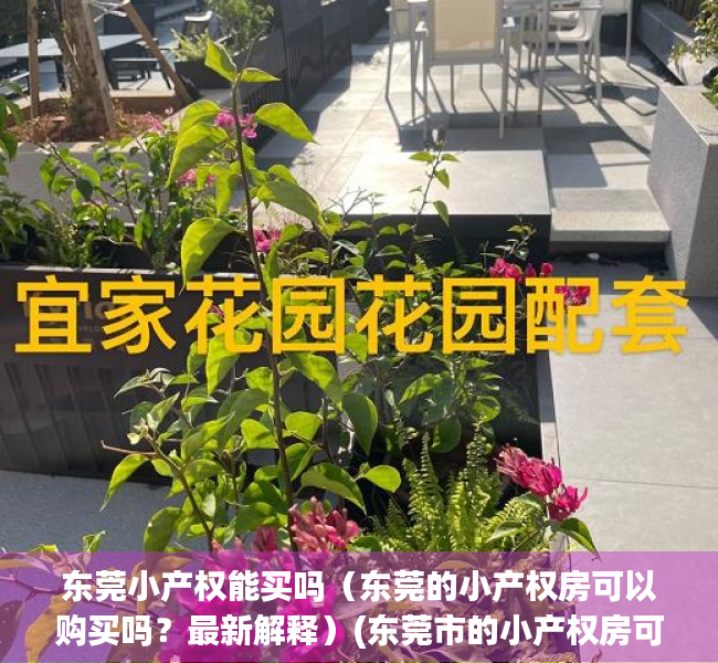 东莞小产权能买吗（东莞的小产权房可以购买吗？最新解释）(东莞市的小产权房可以买吗)