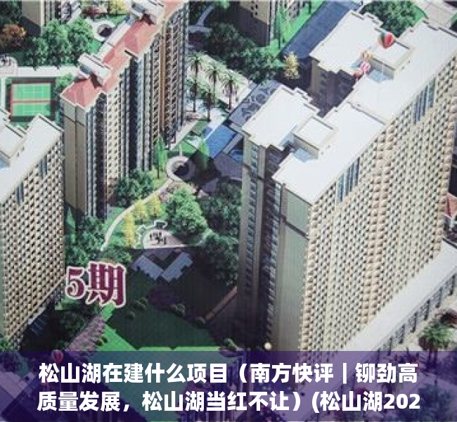松山湖在建什么项目（南方快评｜铆劲高质量发展，松山湖当红不让）(松山湖2021年至2024年的规划)