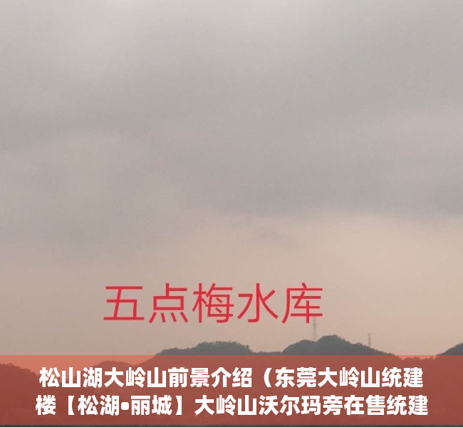 松山湖大岭山前景介绍（东莞大岭山统建楼【松湖•丽城】大岭山沃尔玛旁在售统建楼小产权房 大岭山大片美在售小产权房统建楼 大岭山地铁口在售小产权房统建楼）