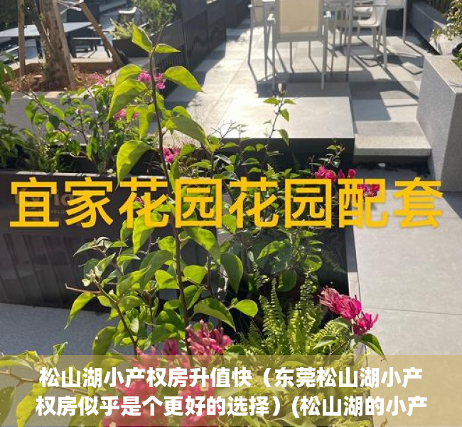 松山湖小产权房升值快（东莞松山湖小产权房似乎是个更好的选择）(松山湖的小产权房有什么风险)