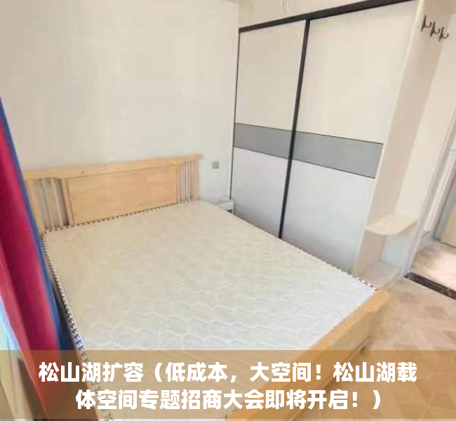 松山湖扩容（低成本，大空间！松山湖载体空间专题招商大会即将开启！）