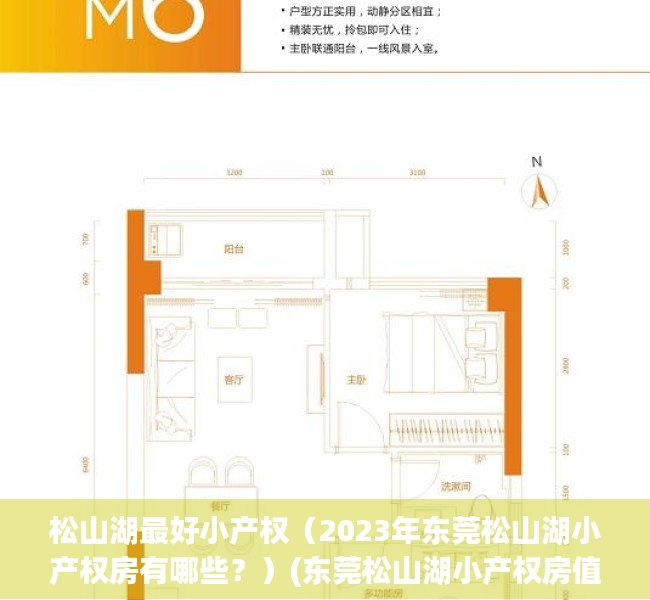松山湖最好小产权（2023年东莞松山湖小产权房有哪些？）(东莞松山湖小产权房值得买吗)