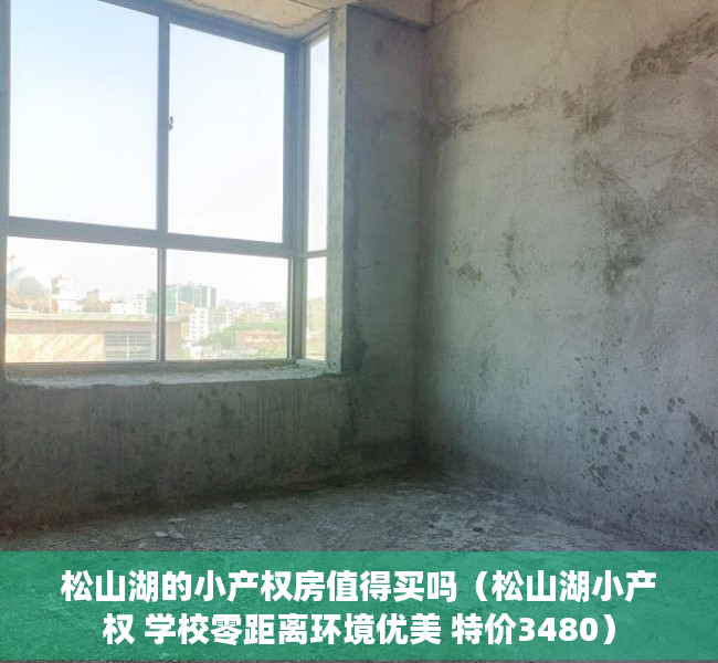 松山湖的小产权房值得买吗（松山湖小产权 学校零距离环境优美 特价3480）