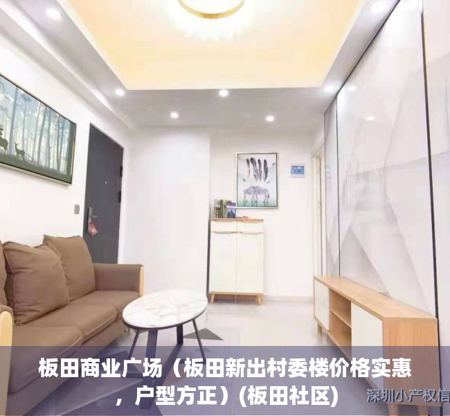 板田商业广场（板田新出村委楼价格实惠，户型方正）(板田社区)