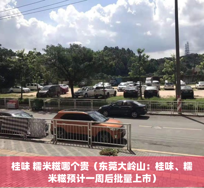 桂味 糯米糍哪个贵（东莞大岭山：桂味、糯米糍预计一周后批量上市）