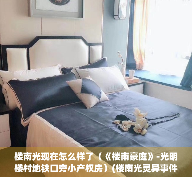 楼南光现在怎么样了（《楼南豪庭》-光明楼村地铁口旁小产权房）(楼南光灵异事件所说的人)