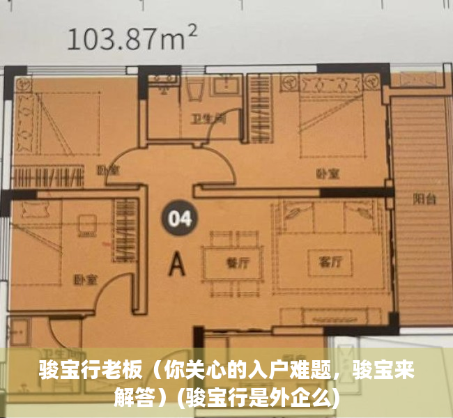 骏宝行老板（你关心的入户难题，骏宝来解答）(骏宝行是外企么)