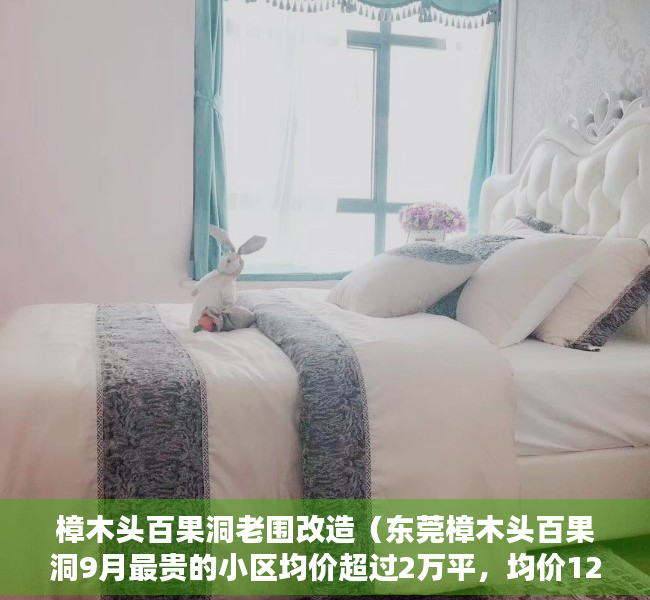 樟木头百果洞老围改造（东莞樟木头百果洞9月最贵的小区均价超过2万平，均价12935元平）