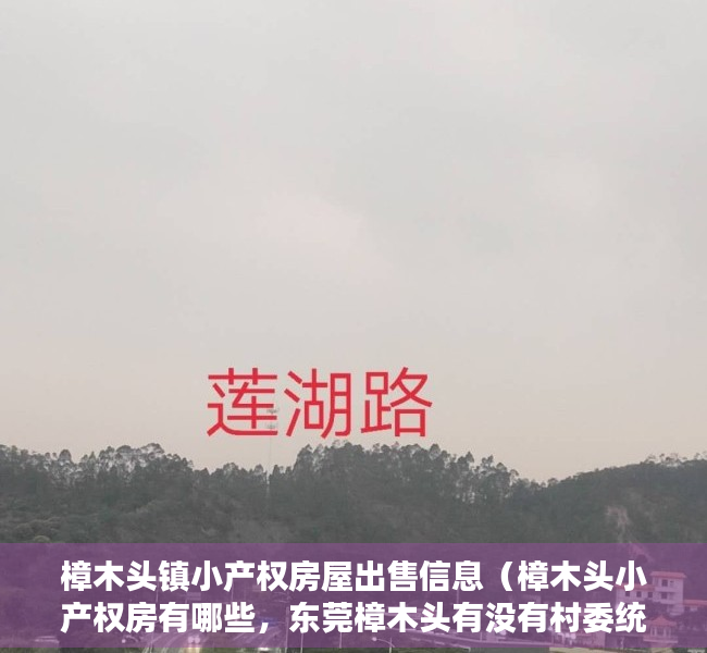 樟木头镇小产权房屋出售信息（樟木头小产权房有哪些，东莞樟木头有没有村委统建楼？）