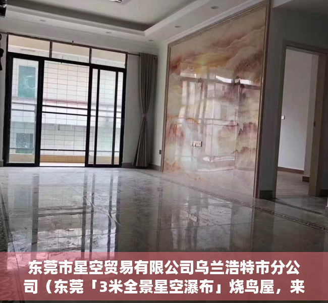 东莞市星空贸易有限公司乌兰浩特市分公司（东莞「3米全景星空瀑布」烧鸟屋，来了！ 招牌烧鸟系列买一送一！）