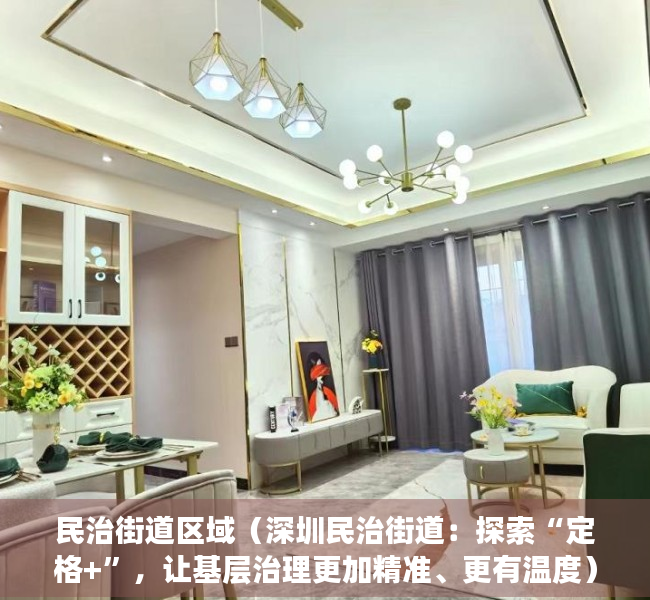 民治街道区域（深圳民治街道：探索“定格+”，让基层治理更加精准、更有温度）