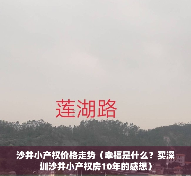 沙井小产权价格走势（幸福是什么？买深圳沙井小产权房10年的感想）
