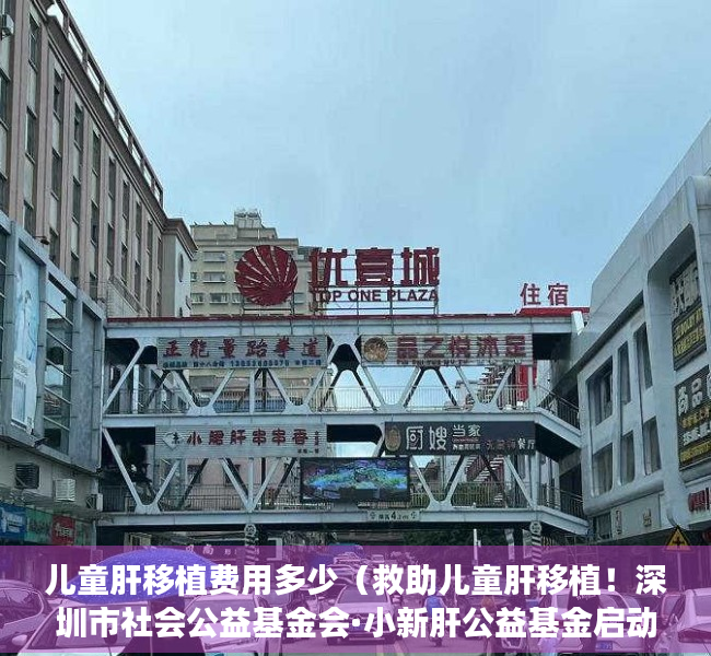 儿童肝移植费用多少（救助儿童肝移植！深圳市社会公益基金会·小新肝公益基金启动）