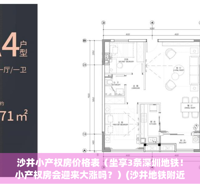 沙井小产权房价格表（坐享3条深圳地铁！小产权房会迎来大涨吗？）(沙井地铁附近的小产权房有哪些?)