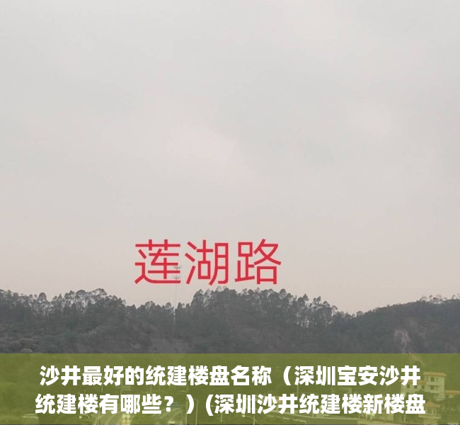 沙井最好的统建楼盘名称（深圳宝安沙井统建楼有哪些？）(深圳沙井统建楼新楼盘)