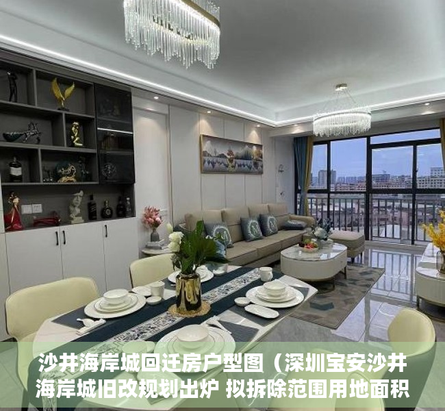 沙井海岸城回迁房户型图（深圳宝安沙井海岸城旧改规划出炉 拟拆除范围用地面积6845万平米）