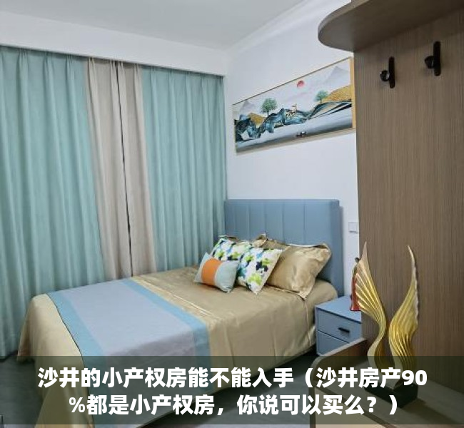 沙井的小产权房能不能入手（沙井房产90%都是小产权房，你说可以买么？）